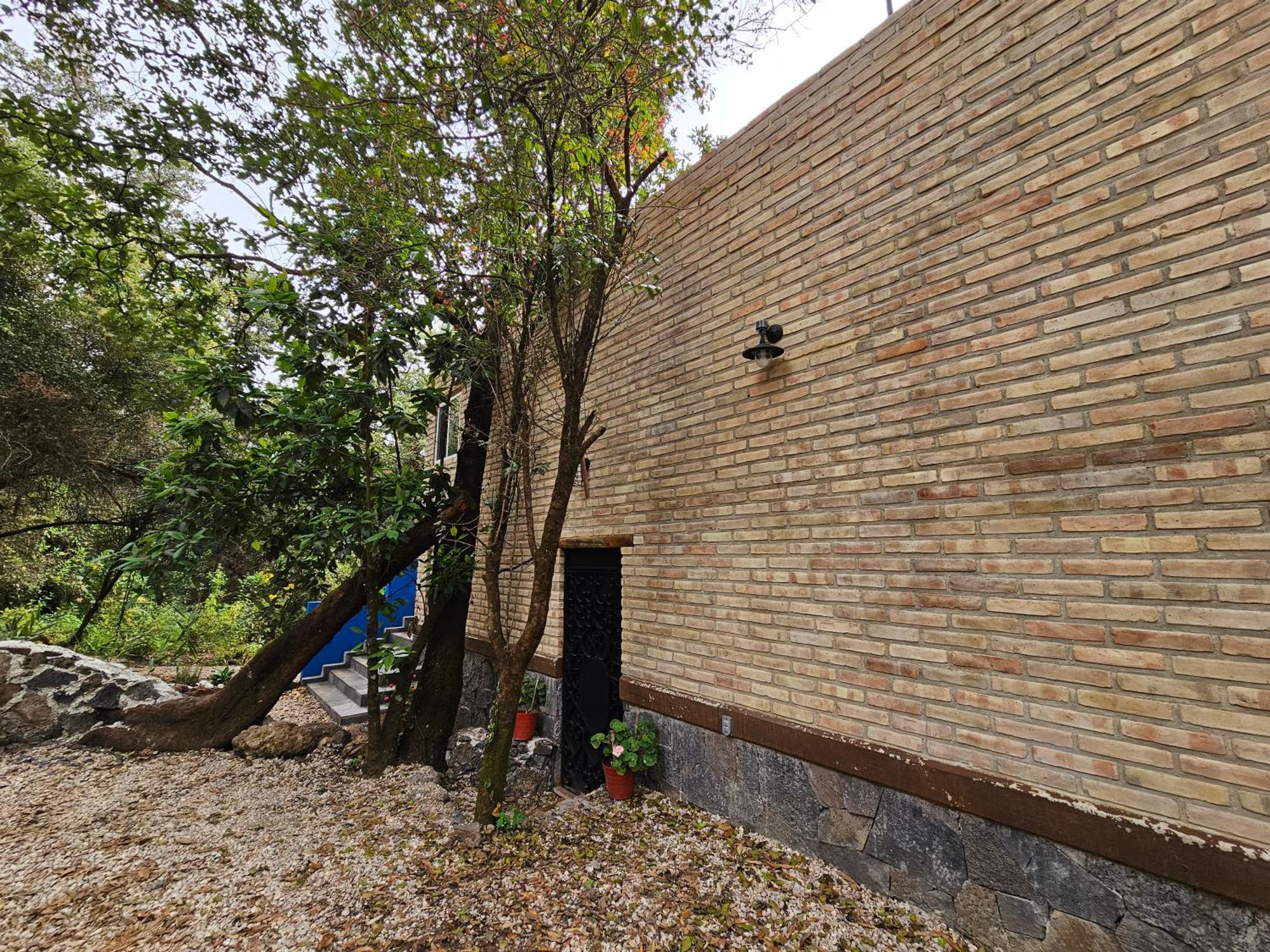 La Cabana Azul Al Fondo Del Bosque De Тепоцтлан Екстериор снимка